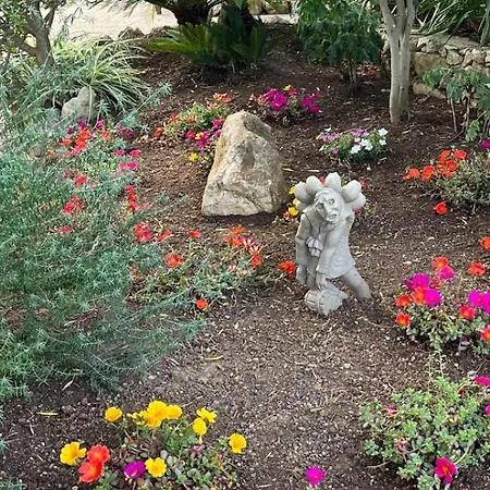 아파트 Domo Rosada *